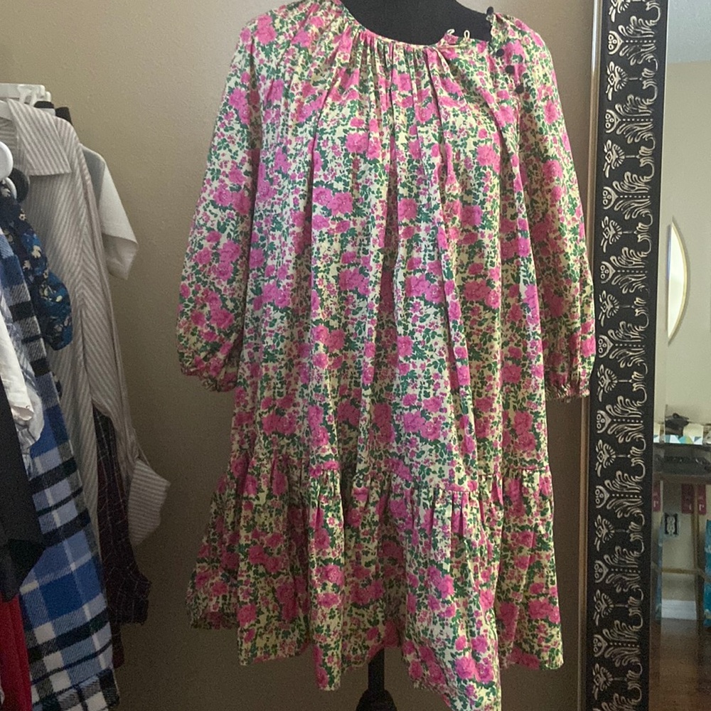 Zara dress
